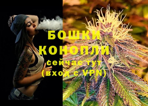 крисы Арсеньев