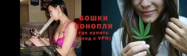 крисы Арсеньев