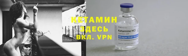 крисы Арсеньев