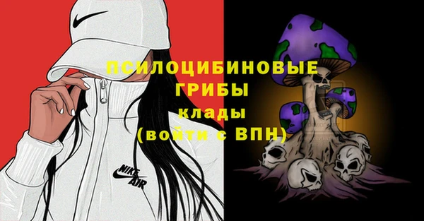 крисы Арсеньев