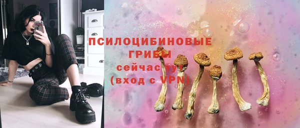 спайс Аркадак