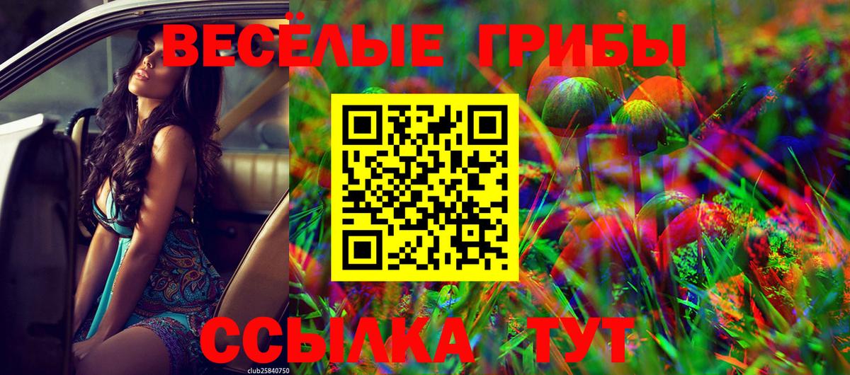 Псилоцибиновые грибы Magic Shrooms  Вход с VPN  Красноярск  Псилоцибиновые грибы прущие грибы 