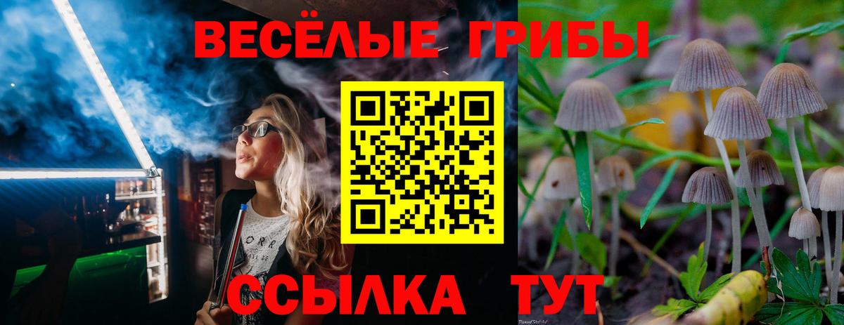 Галлюциногенные грибы Psilocybine cubensis Красноярск